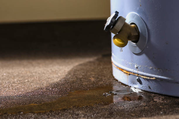 Best Mold removal after water damage  in Mount Vista, WA