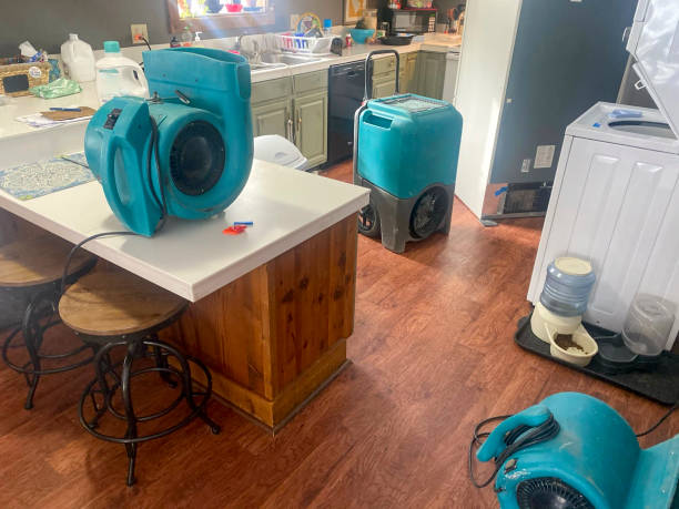 Best Flooded house restoration  in Mount Vista, WA