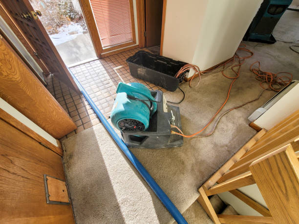 Best Water damage restoration near me  in Mount Vista, WA