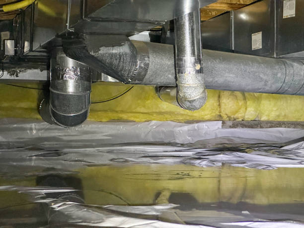 Best Water damage restoration process  in Mount Vista, WA