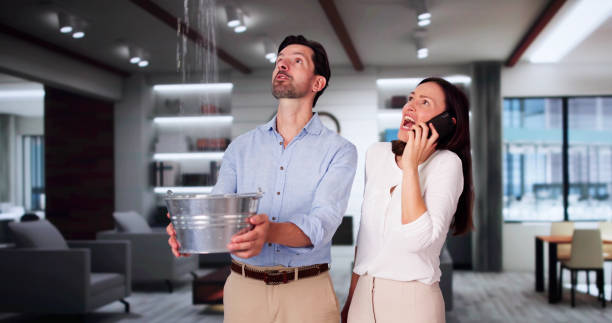 Best Local water damage restoration  in Mount Vista, WA