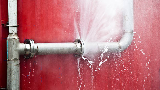 Best Flood damage cleanup  in Mount Vista, WA