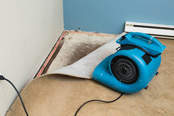 24/7 water damage repair in WA